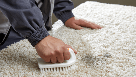 Professional Rug Cleaning Waurn Ponds